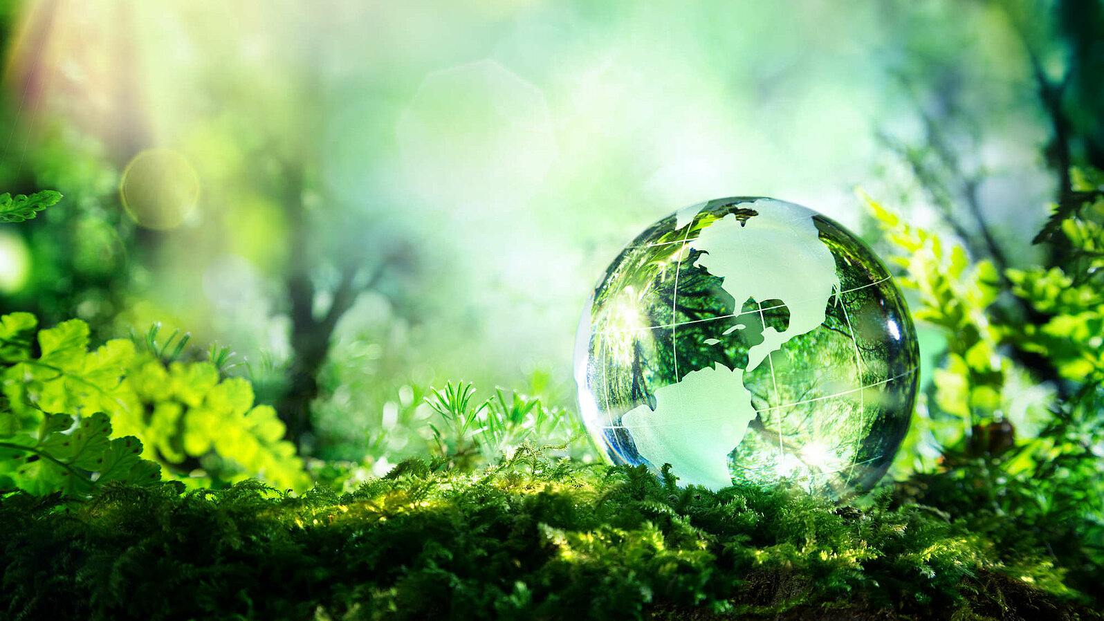 Glass globe lies on the floor against a green background.