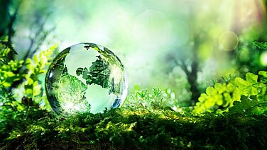Glass globe lies on the floor against a green background.