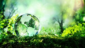 Glass globe lies on the floor against a green background.